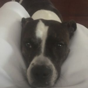 Meet your Posher, Marc